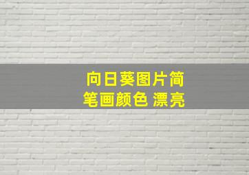 向日葵图片简笔画颜色 漂亮